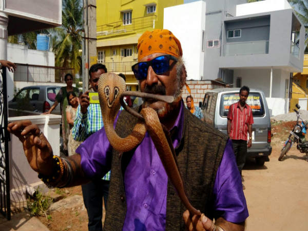 ಇದುವರೆಗೆ ಎಷ್ಟು ಹಾವು ಹಿಡಿದಿದ್ದಾರೆ?