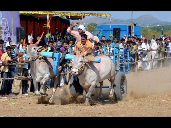 ಹೊಯ್.. ಹೊಯ್..ಹೊಯ್