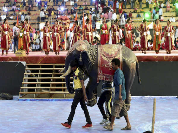 ಮುಖ್ಯದ್ವಾರದಲ್ಲಿ ನಿಲ್ಲಲಿರುವ ಗಜ