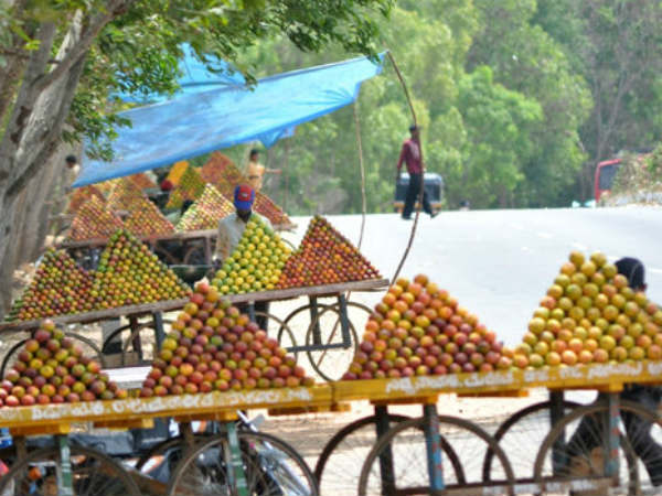 ಮಾರ್ಚ್ ನಿಂದ ಆಗಸ್ಟ್ ವರೆಗೆ ಮಾವಿನ ಸಂತೆ
