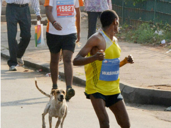 ಶ್ವಾನ ಸ್ಪರ್ಧೆ