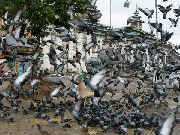 ಕಾಶ್ಮೀರ ಸಹಜ ಸ್ಥಿತಿಗೆ