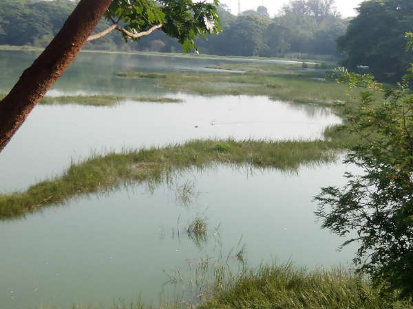 ಇದ್ದರೂ ಸತ್ತಂತಿವೆ ಕೆರೆಗಳು