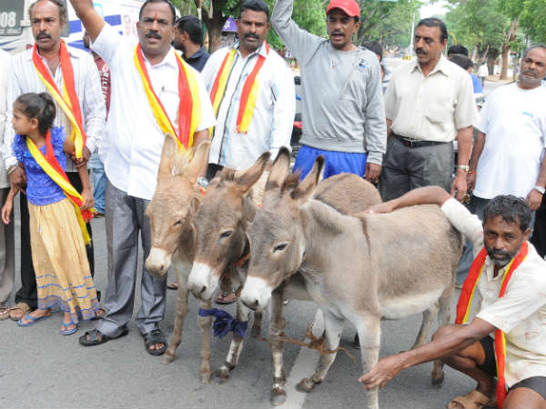 ಕತ್ತೆ ಮೆರವಣಿಗೆ ನಡೆಸಿ ಆಕ್ರೋಶ