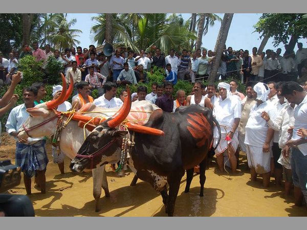 ಊಳುವಾ ಯೋಗಿಯ ನೋಡಲ್ಲಿ