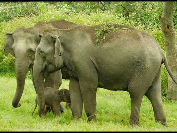 ಹ್ಯಾಪಿ ಬರ್ತ್ ಡೇ