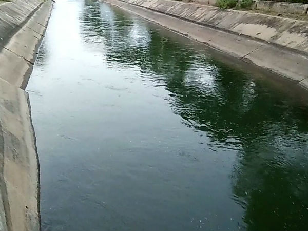 ಬೆಳೆಗೆ ಮಾತ್ರ ನೀರು ಹರೀತಿದೆ