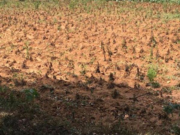 ಕೇಂದ್ರದಿಂದ 3,760 ಕೋಟಿ ರುಗೆ ಮನವಿ