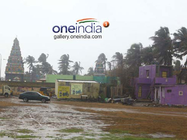 ಧಾರಾಕಾರ ಮಳೆ, ವಿಪರೀತ ಗಾಳಿ
