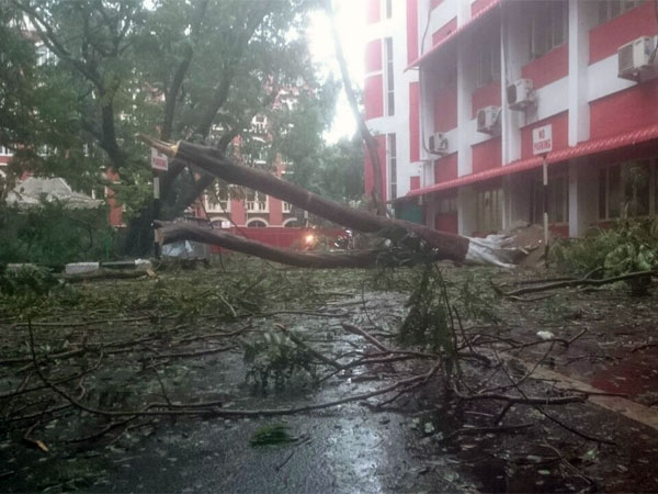 ಗಾಳಿ ತಂದ ಅನಾಹುತ