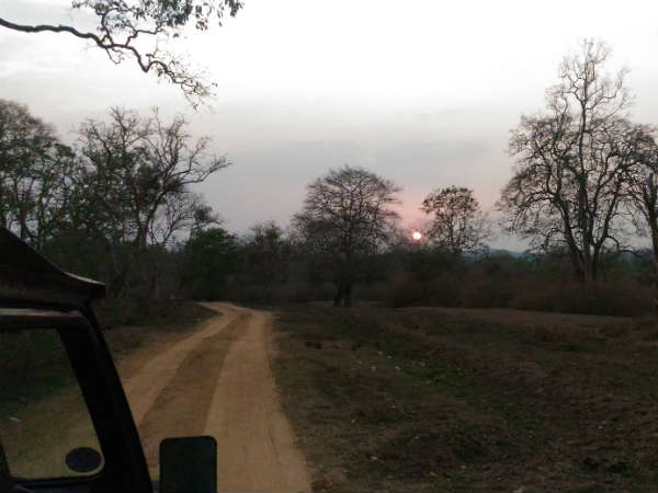 ಸೂಚನೆಗಳ ಜಾಡು ಹಿಡಿದು