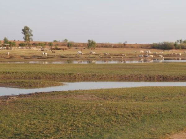 ಕೆರೆಗಳ ಪುನರುಜ್ಜೀವನ ಕಾರ್ಯ