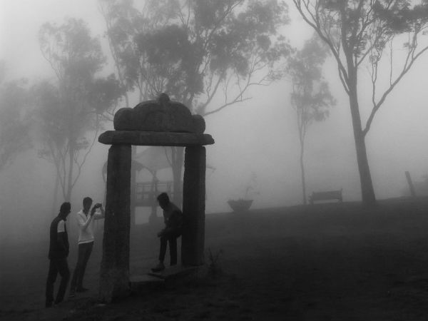 ಮಲಗಿರುವ ವೃಷಭ