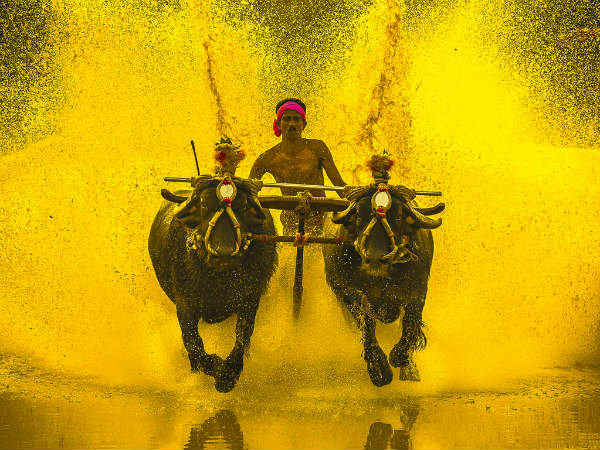 ಹುಬ್ಬಳ್ಳಿಯಲ್ಲಿ ಪ್ರತಿಭಟನೆ
