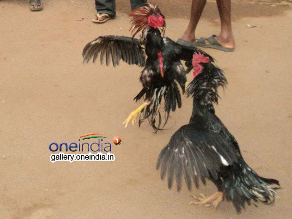 ಸಾವಿಗೆ ಮುನೇಶ್ವರನ ಸಾಥ್