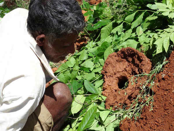 ಇನ್ನೊಂದು ಕಥೆ ಇದೆ