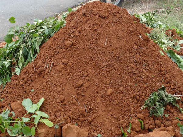 ರುಚಿಯ ಖಾದ್ಯ
