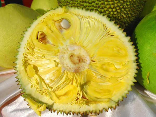 ಮೇಳದಲ್ಲಿ ರಾರಾಜಿಸುತ್ತಿದೆ ಹಲಸಿನ ಹಣ್ಣು
