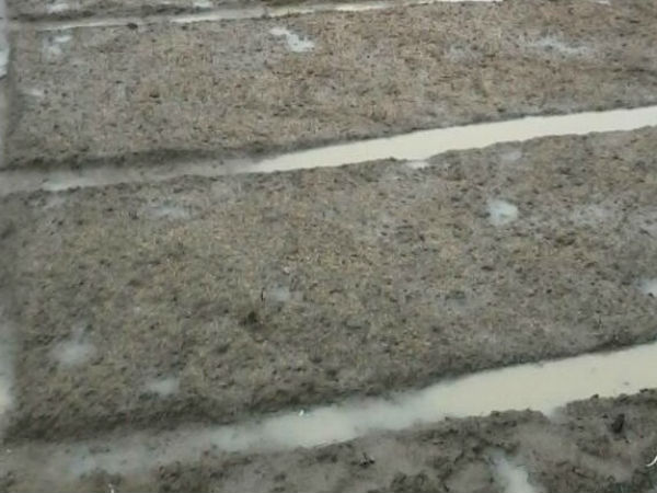 ಕುಂಠಿತವಾಗಿದ್ದು ಏಕೆ?