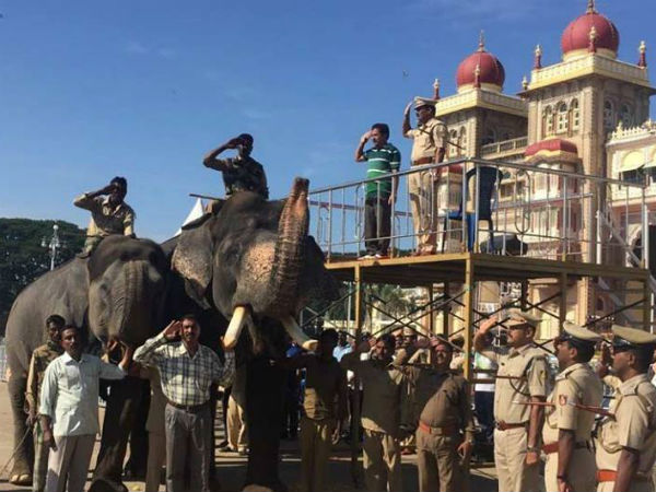 ಈ ಬಾರಿಯ ದಸಾರ ಲಿಸ್ಟ್ ನಲ್ಲಿರುವ ಆನೆಗಳು