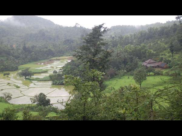 ಭಾರೀ ಗಾಳಿ ಮಳೆಗೆ ಮತ್ತೆ ಧರೆಗುರುಳಿದ ಕಂಬಗಳು