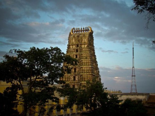ಚಾಮುಂಡಿಬೆಟ್ಟದ ಭಯ