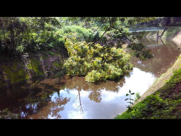 ಹಾರಂಗಿಯಿಂದ ನಾಲೆಗಿಲ್ಲ ನೀರು