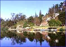 Ooty lake