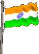Indian Flag