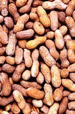 Ground Nuts