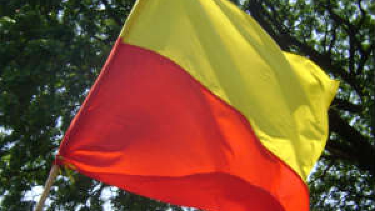 ಕನ್ನಡ ಬಾವುಟ ಹಾರಿಸುವುದು ಕಡ್ಡಾಯ ಗೌಡ Hoisting Kannada flag on November