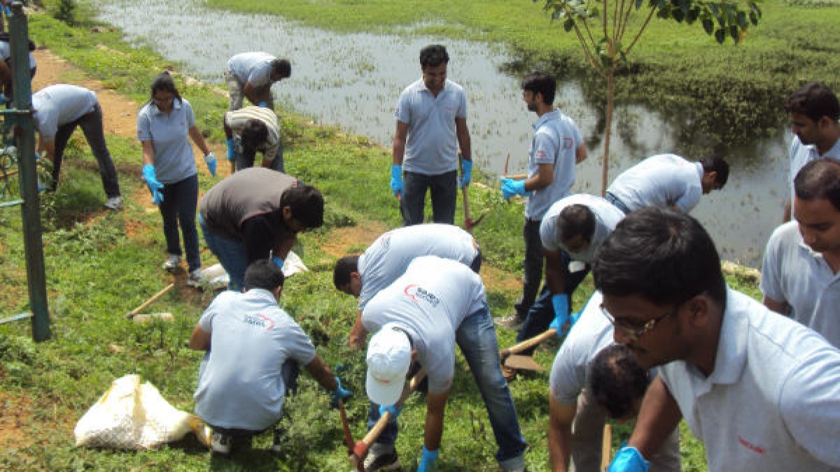 ಇಂದು ಮಾತ್ರವಲ್ಲ ಪ್ರತಿದಿನ ಪರಿಸರ ಉಳಿಸಿ Environment day tree planting uttarahalli united way of