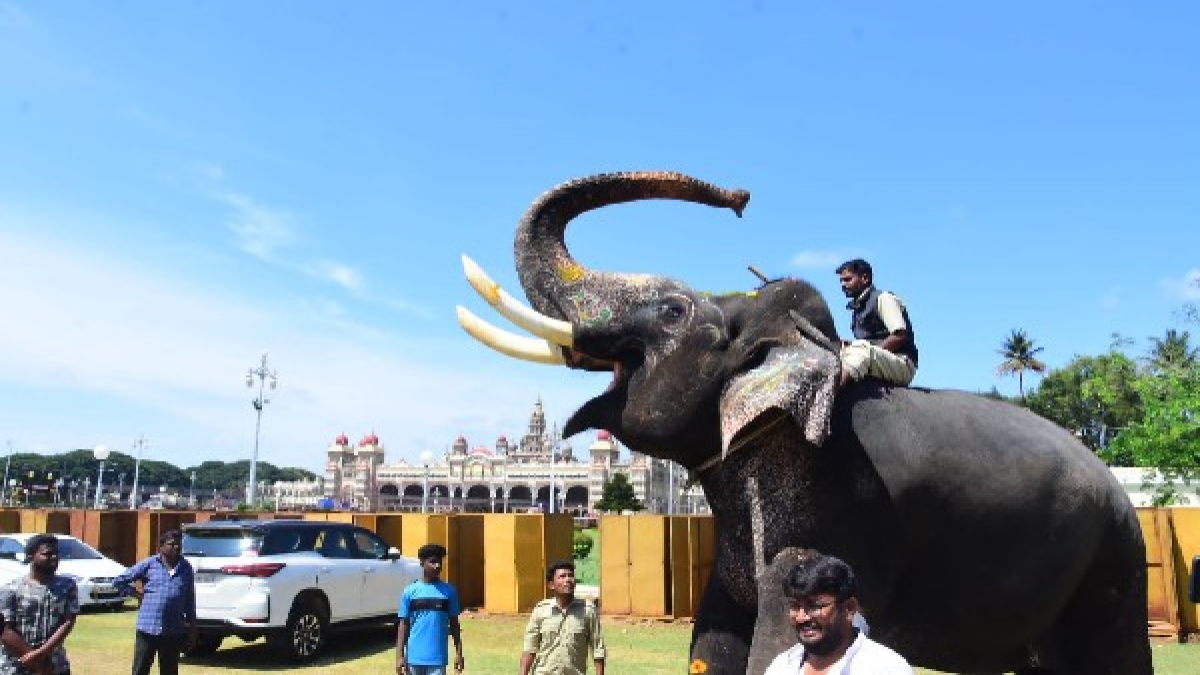 ಕಾಡಿಗೆ ಮರಳಲು ಶ್ರೀರಾಮ ಹಿಂದೇಟು