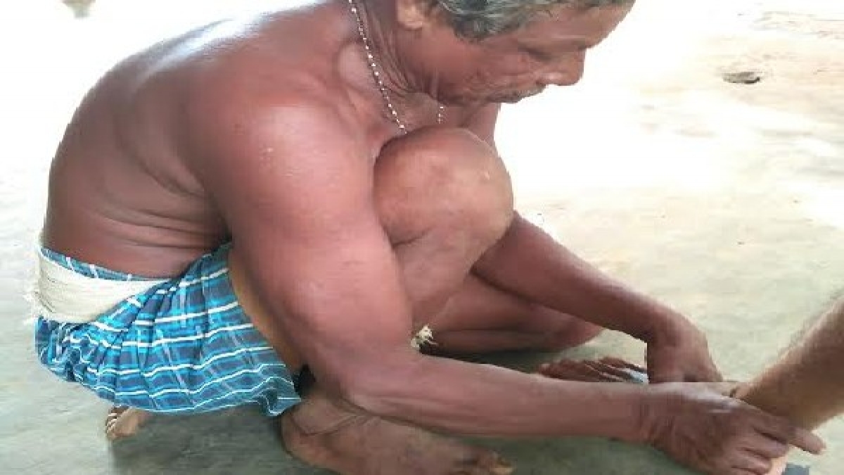 ಕೃಷಿಯಾಧಾರಿತ ಕುಟುಂಬ