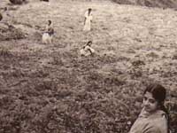 Wonderful trekking places in India and Australia