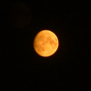 ಬಾನಲಿ ಅರಳಿದ ಕಿತ್ತಲೆ ಚಂದಿರ!