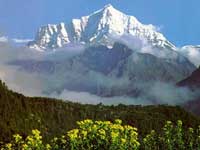 Tibet : Turmoil 2008