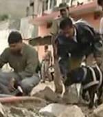 Series of blasts : Dog squad searching for clues