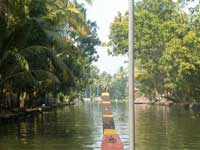 Water ways of Alleppey