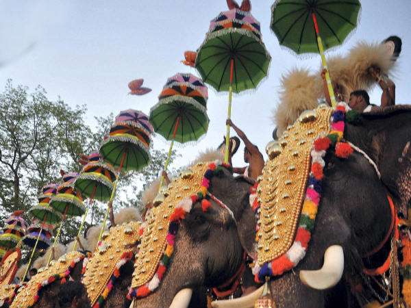 ಪ್ರತಿಭಟನೆ, ಪ್ರಚಾರ, ಸಂಭ್ರಮ, ಕಳಕಳಿ