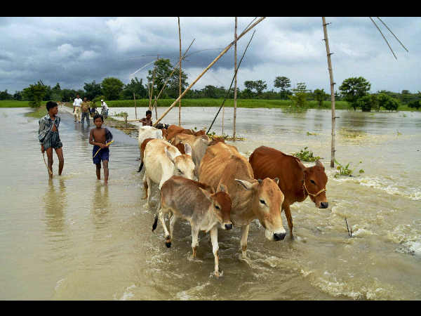 ಮಳೆಯಲಿ ಜೊತೆಯಲಿ