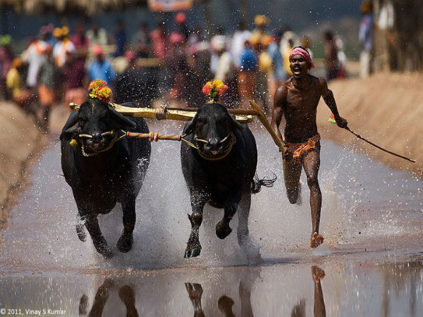 ಕರಾವಳಿಯ ಯಾವ ಯಾವ ಭಾಗ ತುಳುನಾಡಿಗೆ ಬೇಡಿಕೆ