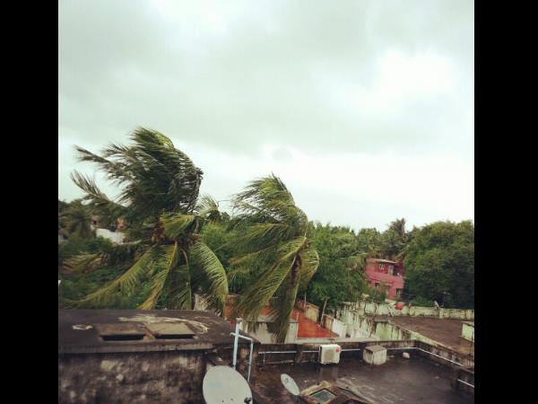 ವೈವಿಧ್ಯಮಯ ಹೆಸರುಗಳು