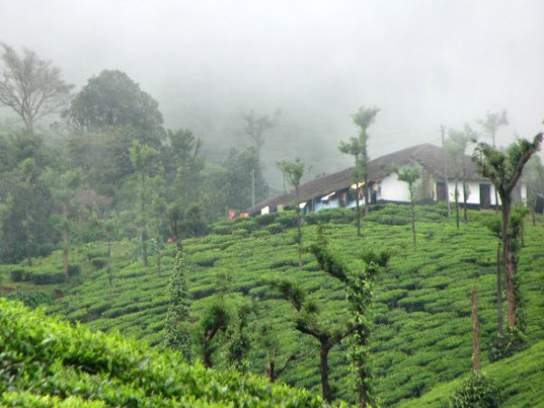 ಹೋಟೆಲ್ ಗಳಿಗಿಂತ ಹೋಂ ಸ್ಟೇ ಹಿತವೆನಿಸುತ್ತದೆ