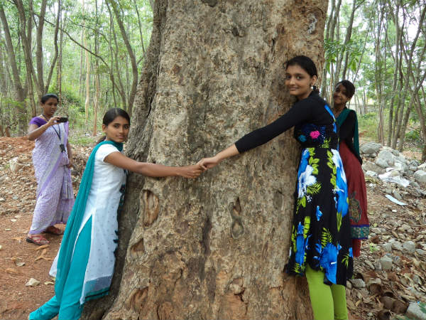 ಮರ ಅಪ್ಪಿಕೋ ಚಳವಳಿಗೆ ಜೀವ