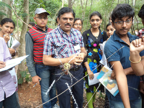 ಜೇಡ ಹೆಣೆದ ಕಲೆಯ ಬಲೆ