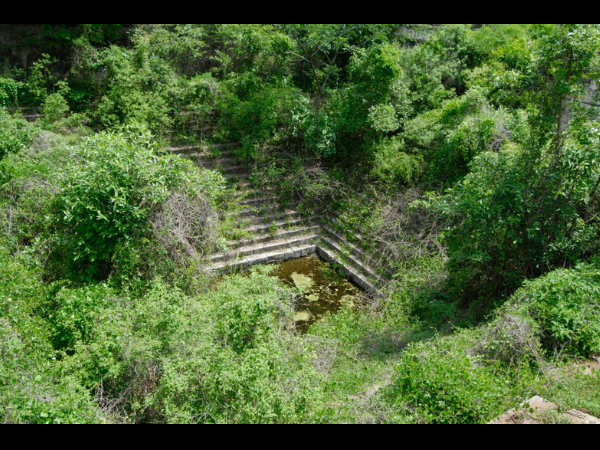 ಕಡೆಗಣಿಸಿದ ಕೂಸಾಗಿರುವುದು ದೊಡ್ಡ ದುರಂತ