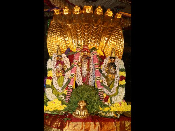 ದೀಪಾಲಂಕಾರದಿಂದ ಝಗಮಗಿಸುತ್ತಿವೆ ವೈಷ್ಣವ ದೇವಾಲಯಗಳು