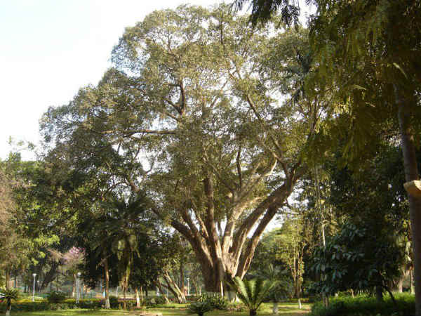 ಸದಸ್ಯರಾದ ರಾಮಮೋಹನ್ ರಾಜು