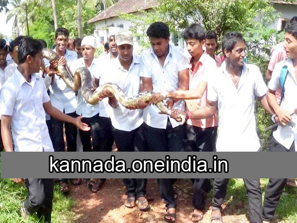 14 ಅಡಿ ಉದ್ದ, 20 ವರ್ಷ